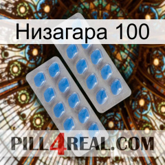 Низагара 100 23